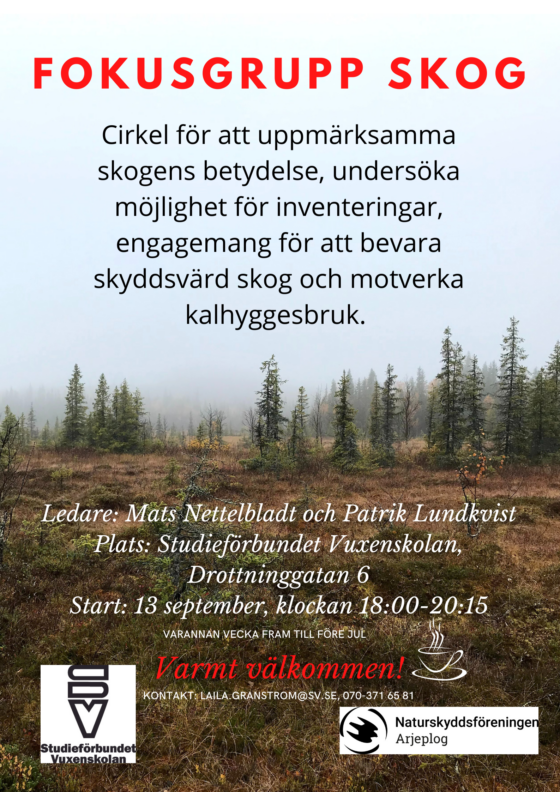 Affisch med en gles granskog vid ett begynnande fjäll, med dimma i bakgrunden och grå himmel. Samma information finns i text i nyheten.